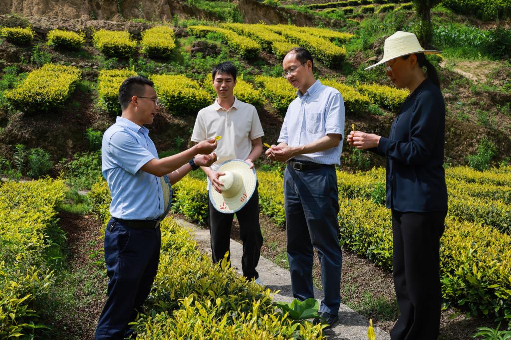看望慰问暑期坚守岗位的教职工与施工人