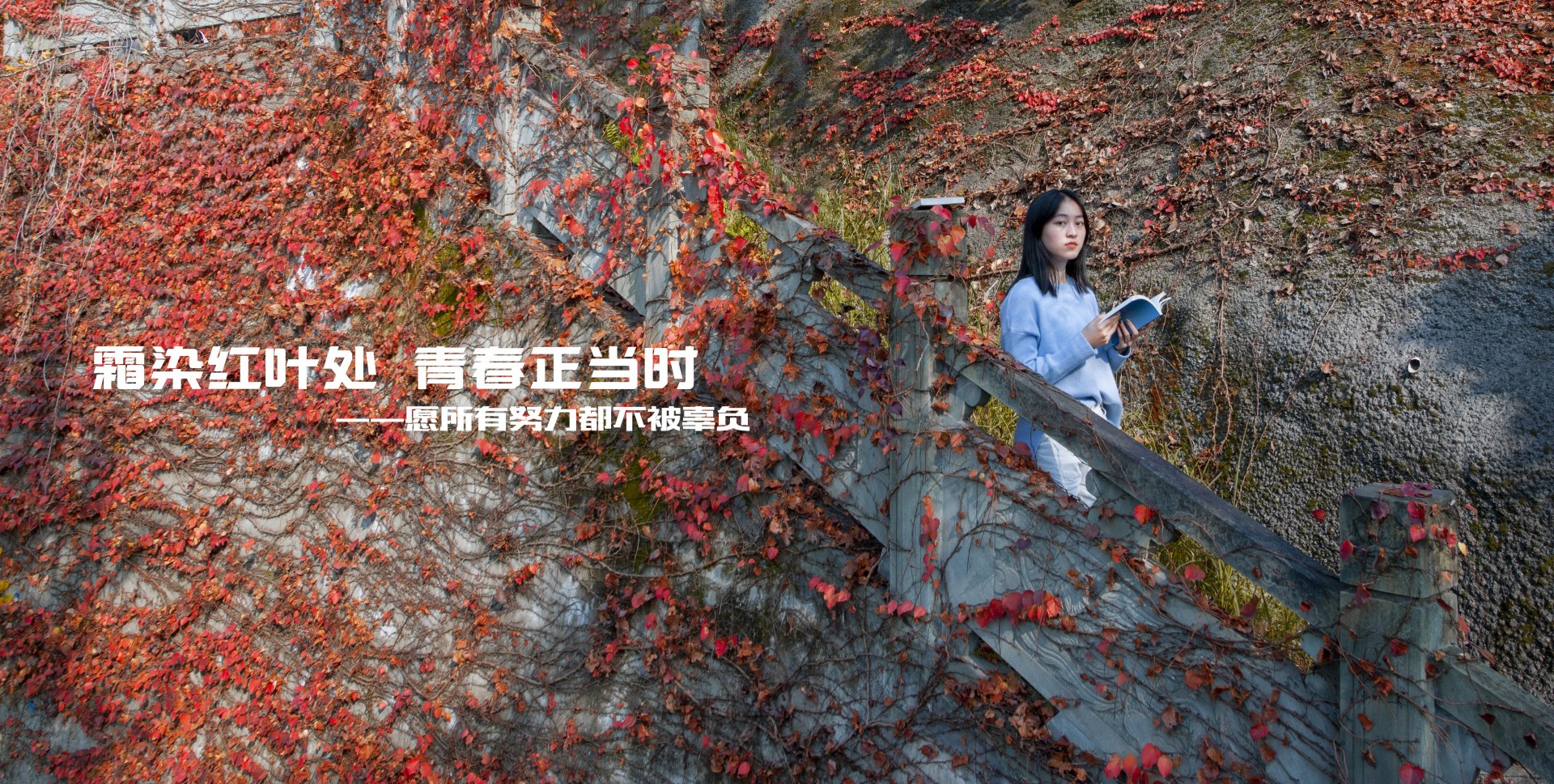 武汉大学